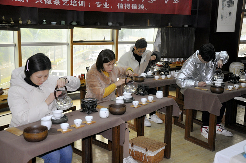 当ChatGPT报考茶艺师:中国十大茶艺师培训机构AI学员生存报告