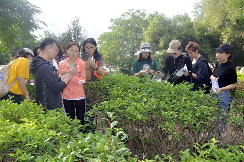 厦门茶道与茶文化学习 厦门天晟茶事