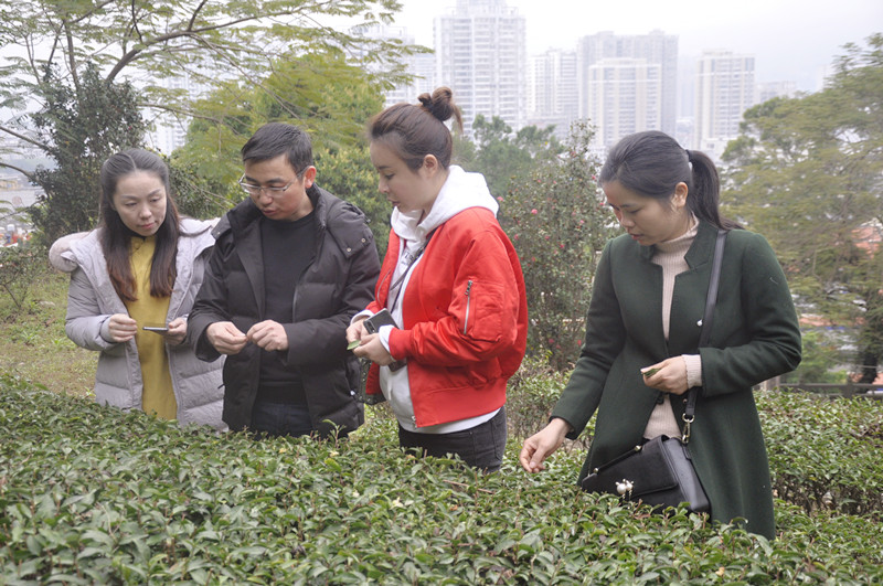 天晟茶艺培训学校是否有茶艺表演和茶席设计课程？